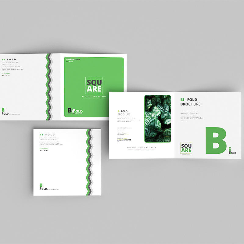 Custom Full Color Flyer Brochu - Commercial Printing Supplies Usa 评论和价格