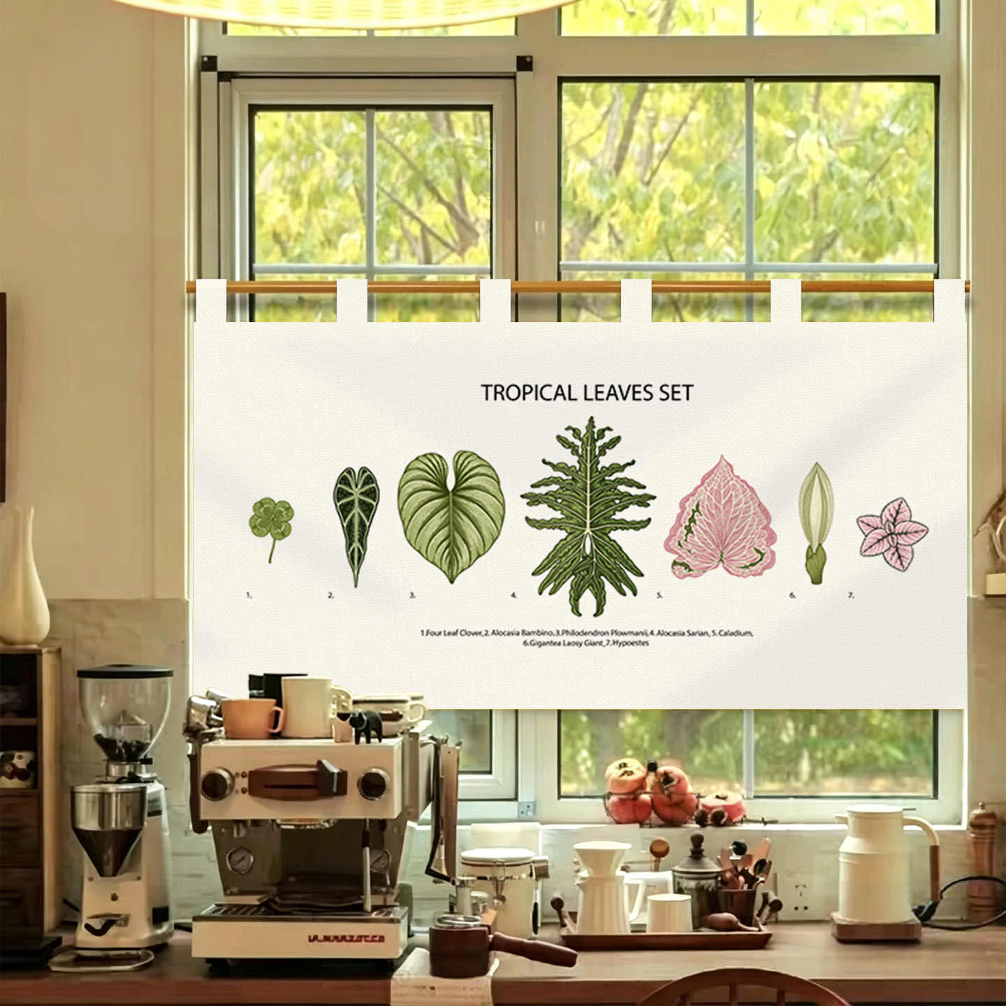 VIKAMA Vintage Hand Drawn Nore - Commercial Window Printing 评论和价格